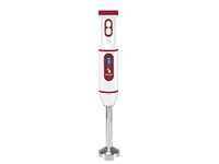 BEPER P102FRU300 Dompelmixer, USB Oplaadbaar - Miniblender Zonder kabel, Multifunctioneel