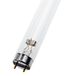 Philips Hue Philips TUV TL-D 36W T8 UV-C | G13 | Lengte 120cm TL-buis | G13 | 36 watt