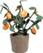 Kids Depot Plant Orange Vilt