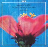 Bertus Distributie Cpo Vivaldisix Violin Ctos For Anna Maria