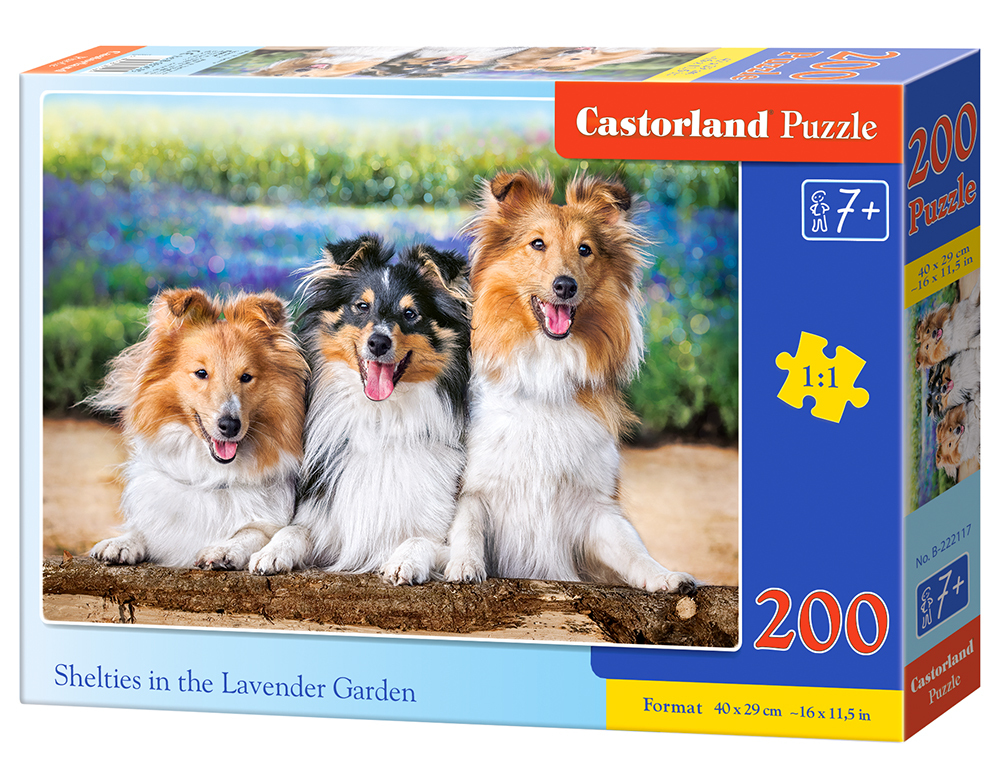 Castorland Shelties in the Lavender Garden- 200pcs