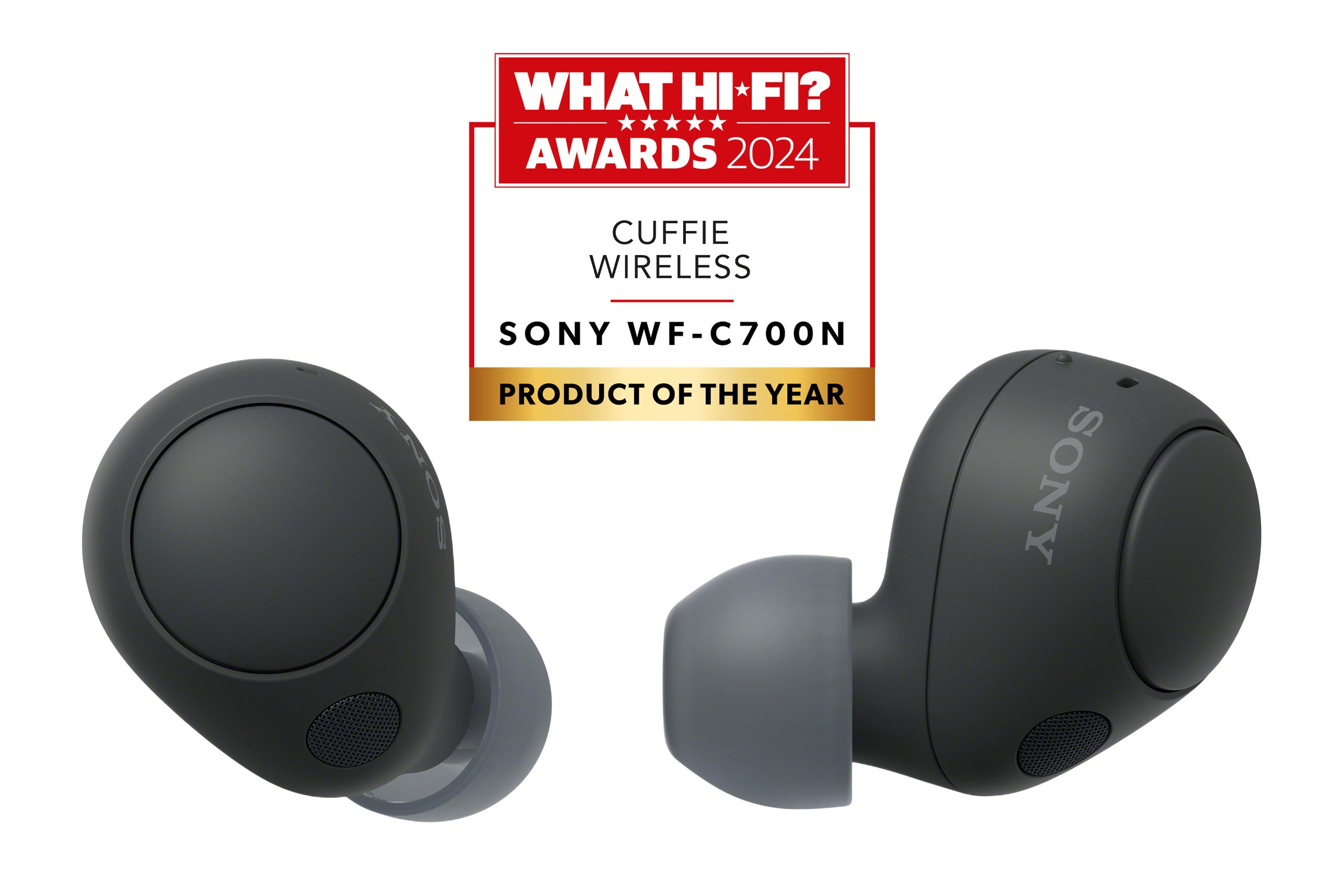 Sony WF-C700N True Wireless Noise Cancelling In-Ear Headphones - Black