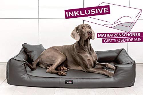 tierlando® Orthopedisch hondenbed Goofy VISCO | Gr. XL 120cm grafiet