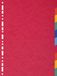 Exacompta 25x Tabbladen gerecycled karton 220g - 10 tabs - A4 maxi - Geassorteerd - 2110E