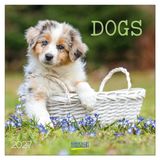 Korsch Verlag Honden Kalender 2027