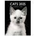 DRAEGER PARIS 1886 Kleine wandkalender, 14 x 18 cm, 2025, zwart-witte katten