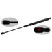 febi bilstein 24737 gasveer voor motorklep, 1 stuk | Compatibel met: MERCEDES-BENZ M-CLASS
