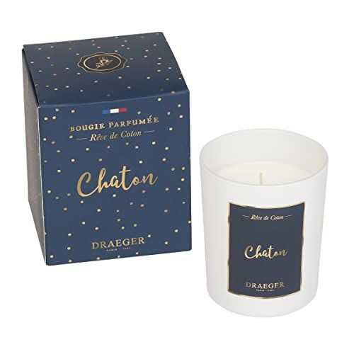 DRAEGER PARIS 1886 Draeger Paris - geschenkkaars - chaton - 9 x 7,5 cm