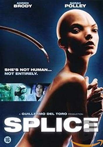 Dutch Film Works Splice