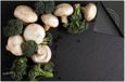 Dietrix Induction Protector 65x52 - Vegetables and Fruit - Mushrooms and broccoli