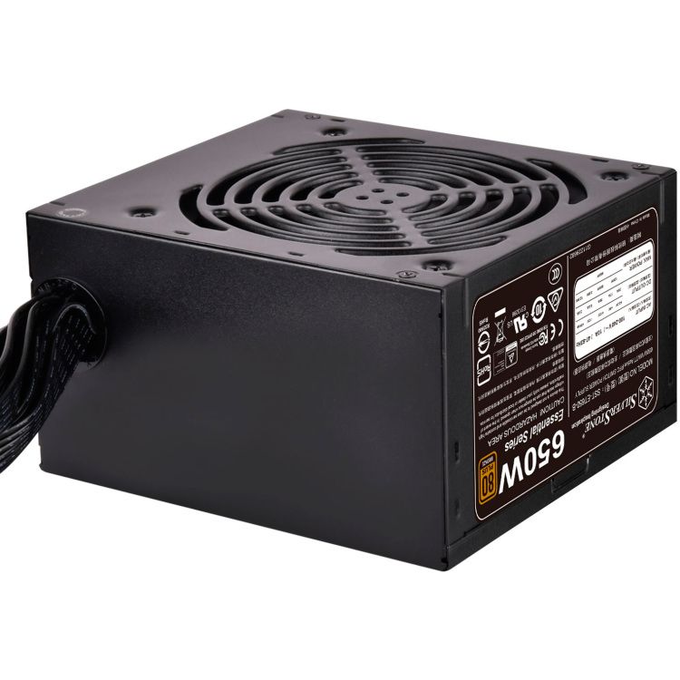Silverstone SST-ET650-B v1.4 - Voeding