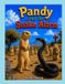 Pandy Libri GmbH Pandy and the Snake Alarm Paperback