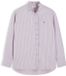 Tommy Hilfiger Chemise manches longues Femme Coton 100% Taille 42 Cyclamen/Blanc Automne/Hiver 2026