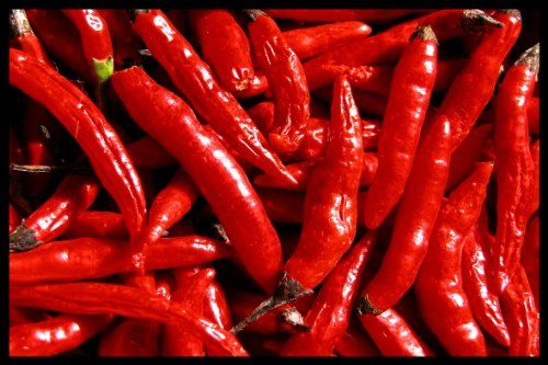 Digital Republic.Com 40224 deurmat, polyamide PVC, ftalaatvrij