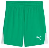 PUMA Teamliga Junior Shorts Uniseks Shorts