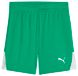 PUMA Teamliga Junior Shorts Uniseks Shorts
