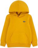 Levi's Kids Mini Batwing Hoodie Golden Spice 16 Years Jongen