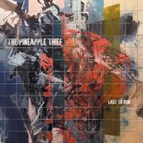 Last The Pineapple Thief Last to Run