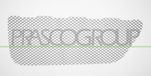 PRASCO Lüftungsgitter, Stoßfänger PR5062124 vorne links