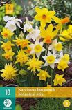 Jub Bol Narcis Botanisch Mix 10 stuks
