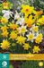 Jub Bol Narcis Botanisch Mix 10 stuks