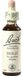 NELSONS GMBH Bach Original Bachbloesems Nr. 15, Ilex (Steenbraam), druppels, 20 ml oplossing