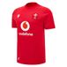 Macron Maillot Domicile Pays de Galles 2026/27