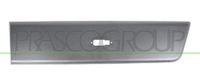 PRASCO Zier-/Schutzleiste, Tür FT9321464 hinten links | Compatibel met: FIAT DUCATO Bus, DUCATO Kasten