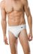 SCHIESSER Authentic rioslips (2-pack) - wit