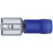 Klauke 730 Connecteur plat (femelle) Largeur d'insertion : 6,3 mm Épaisseur d'insertion : 0,8 mm 180° Partiellement isolé Bleu 1 pièce(s)