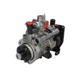 DELPHI 8925A330G Pompe à Injection