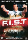 Source1 Fist (DVD)