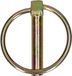 PGB-Europe Borgpen met ring 10mm verzinkt