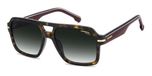 Carrera CARRERA 377/S Havana 56/17/145 HOMME Lunettes de soleil