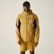 Regatta Heren Birchdale II Waterdichte Wandeljas Bruin 4XL