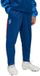 PUMA Neymar Jr Playmaker Pantalon d'entraînement Enfants 66031310