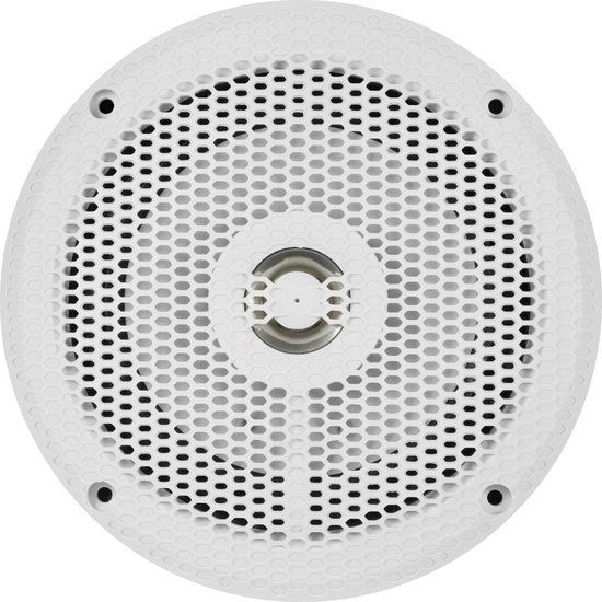 Renegade RSM52W - 13cm 2-Weg Coax Marine plat