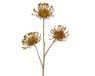 Decoris Tak 24x22x75 goud