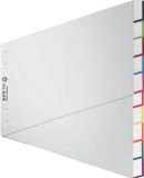 Leiditz Plastic Tabbladen, Blanco, A4 Breed, 20-delig