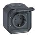LEGRAND, Plexo New 069783L Schuko stopcontact standaard voor vochtige ruimtes, met scharnierdeksel, contactbescherming, installatie met schroefklemmen, 16 A, 250 V, IP44 - IK07, antraciet