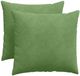 vidaXL - Zitkussens - 2 stuks - Lichtgroen - 50 x 50 cm - Corduroy stof