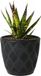 Form Plastic Plantenpot/bloempot New Age - kunststof - zwart - D15 x H14 cm - met opvang schotel - rond