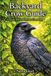 Backyard Independently Published Backyard Crow Guide