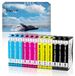 Epson 604 XL Cartouche d'encre - Compatible avec Epson