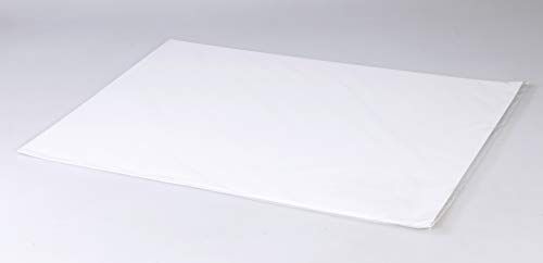 Clairefontaine 975194C Tekenblok Lavis - 42 x 59,4 cm - 10 vellen - 250 g - wit