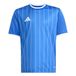 adidas uniseks-kind Entrada26 Graphic Jersey Kids Shirt, team royal blue/white, 13-14 Years