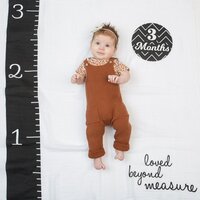 Lulujo Baby's First Year Swaddle & Cards - Loved Beyond Measure