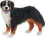 Bullyland Berner Sennenhond Bianca Speelfiguur