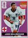 PANINI WORLD CUP 2026 stickers – EXTRA STICKER (rose) – JUDE BELLINGHAM
