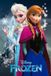 poster Grupo Erik - Frozen poster